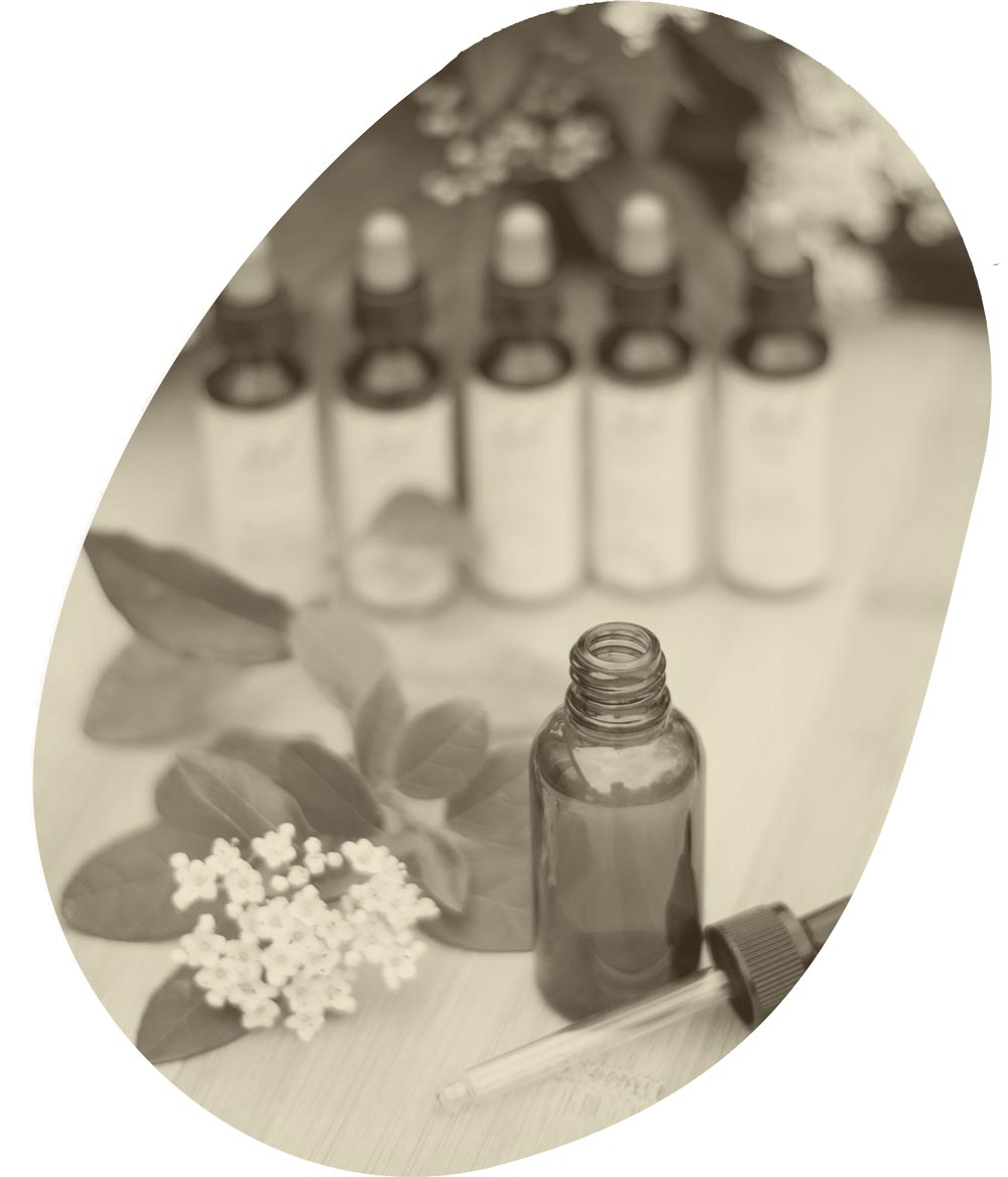 Bachblütenflasche angeboten von EdosAnima