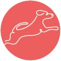 Symbol für Agility-Kurse bei EdosAnima