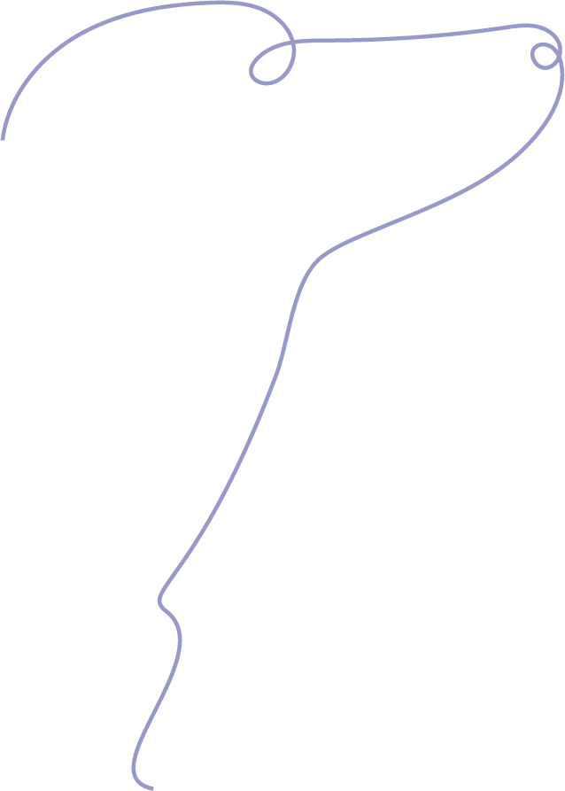 Foto von zwei Hunden, einem Welpen und einem erwachsenen Hund während einer Hundeschule bei Edos Anima