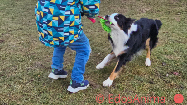 Mop Boudin Bungee – Bild 5