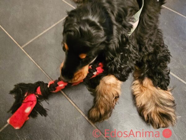 Kong Signature Rope Dual Knot – Image 3