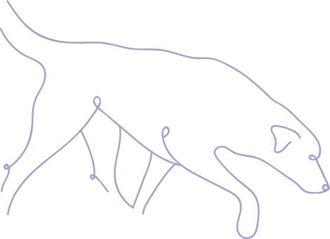 Photo de deux chiens, un chiot et un chien adulte lors d'une séance d'éducation canine chez Edos Anima